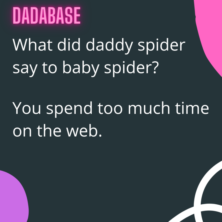 What did daddy spider say to baby spider? You spend too much time on the web. - DADABASE