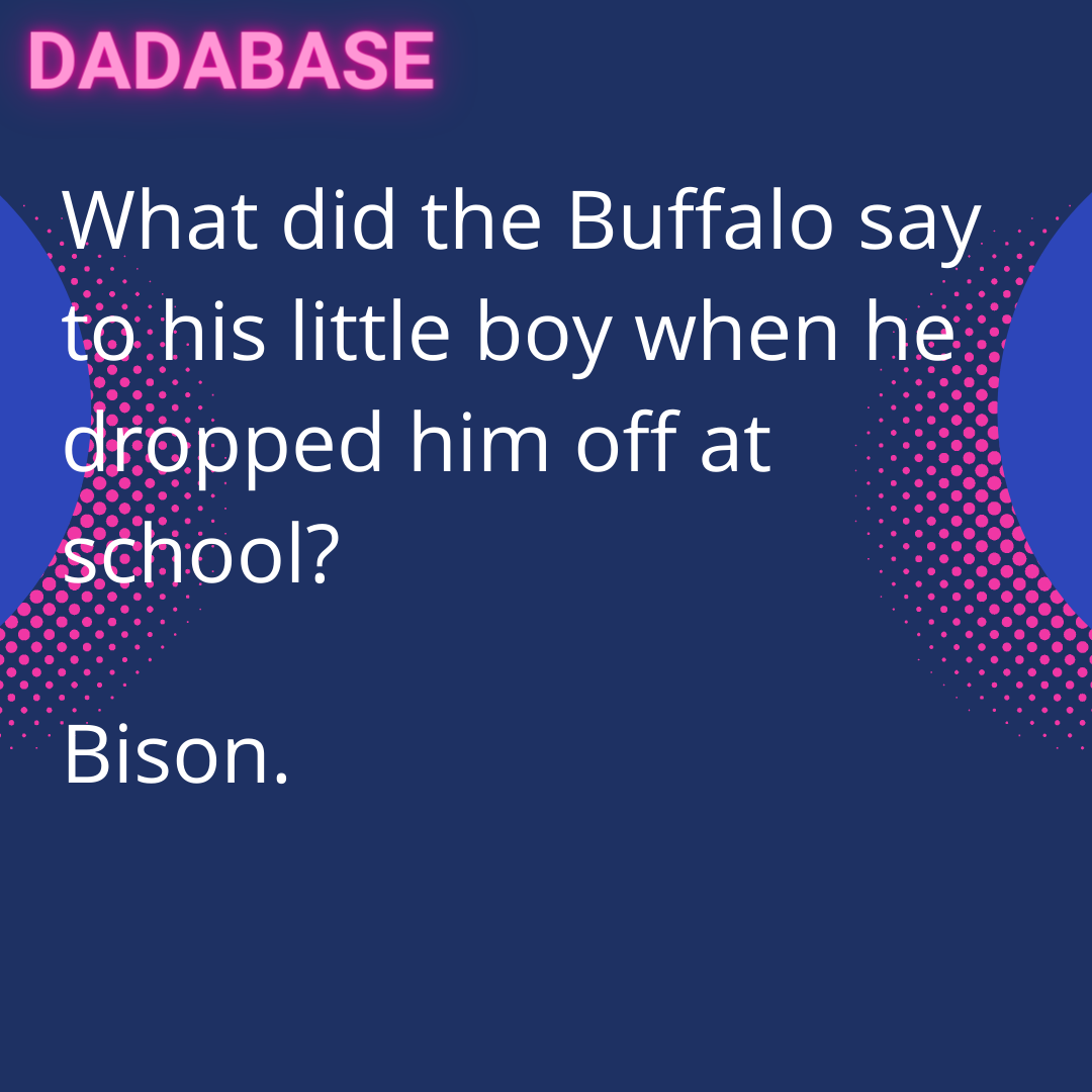 What did the Buffalo say to his little boy when he dropped him off at school? Bison. - DADABASE
