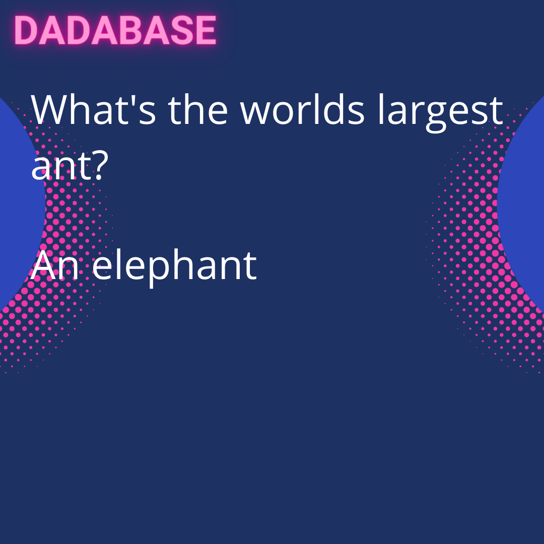 What's the worlds largest ant? An elephant - DADABASE