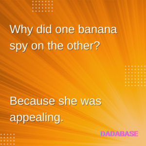 Why did one banana spy on the other? Because she was appealing.