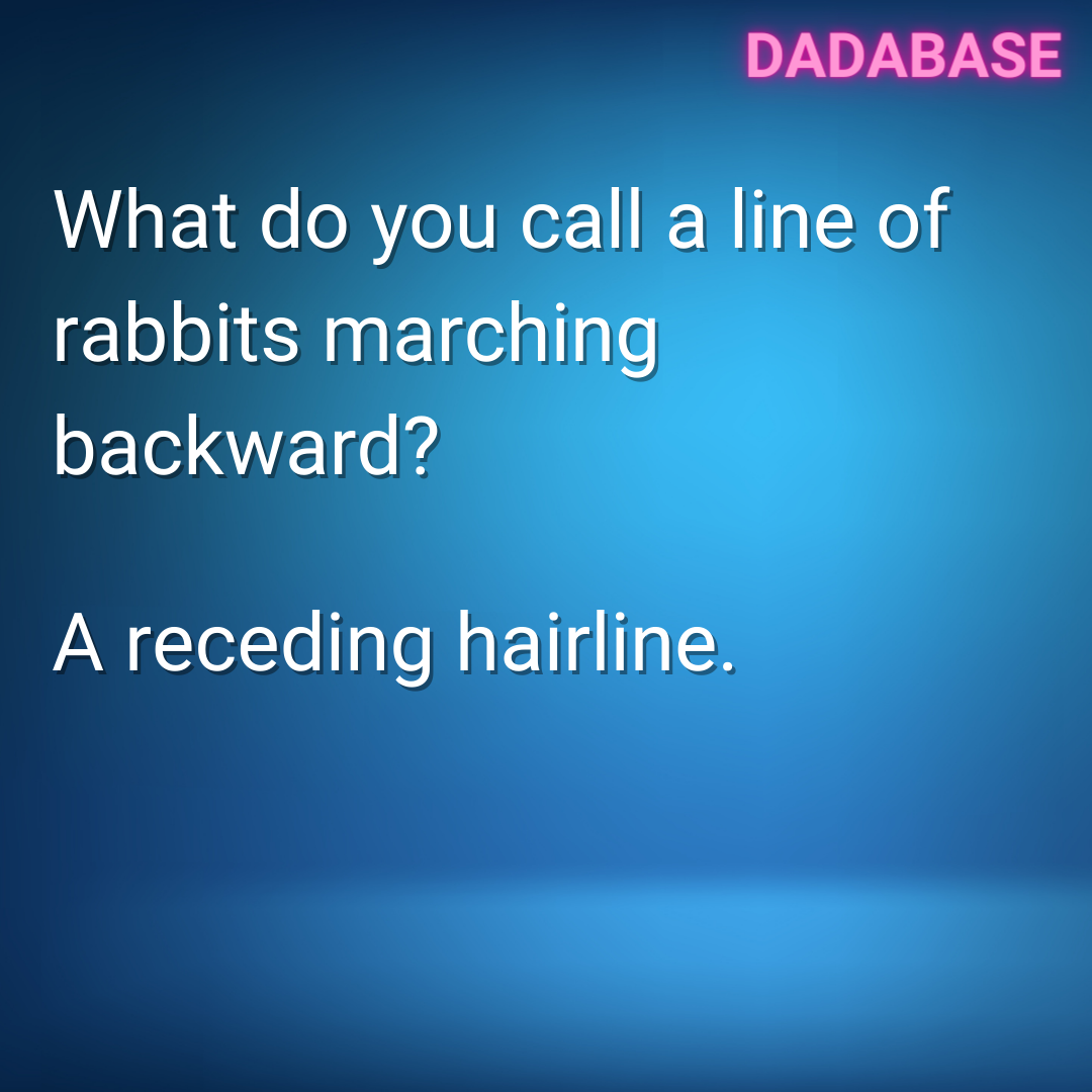 What do you call a line of rabbits marching backward? A receding hairline.