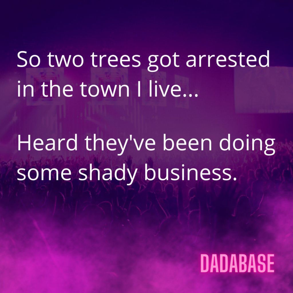 So two trees got arrested in the town I live... Heard they've been doing some shady business.