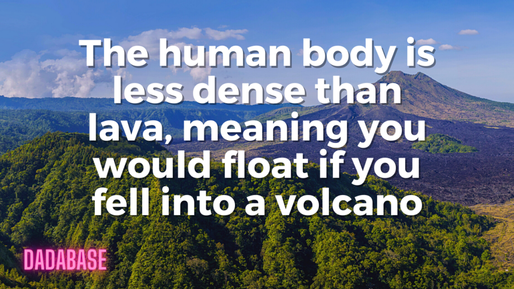 The human body is less dense than lava, meaning you would float if you fell into a volcano