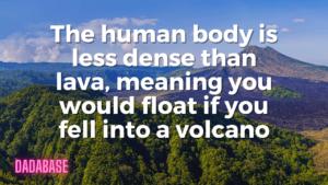In case you were curious, the human body is less dense than lava. This means that if you were to fall into a pool of lava, your body would float.