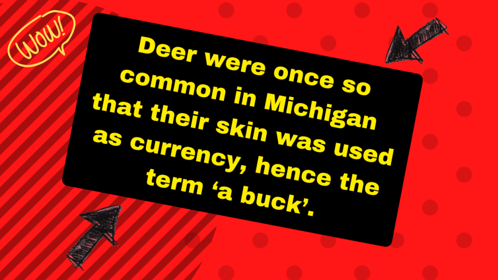 deer were once so common in michigan that their skin was used as currency, hence the term ‘a buck’